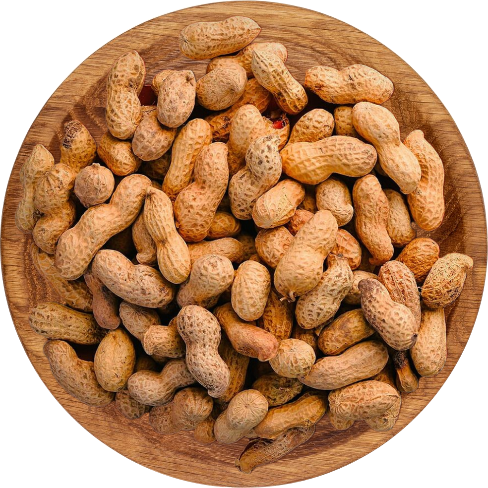 Black Cardamom